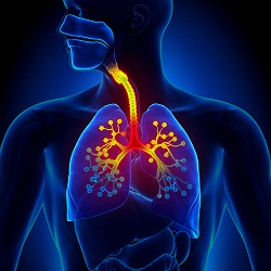 Veer Aim Care - Respiratory Problems