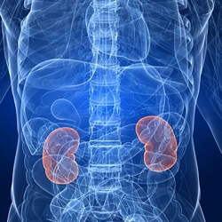 Veer Aim Care - Kidney Problems